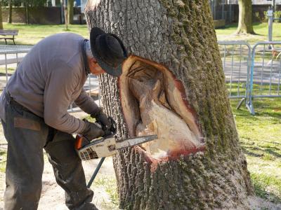 Photo de la sculpture sur l'arbre en cours de création par Michel Cabusa © Ville de La Madeleine